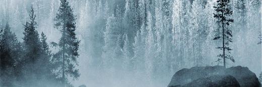 kusbdz's profile banner image