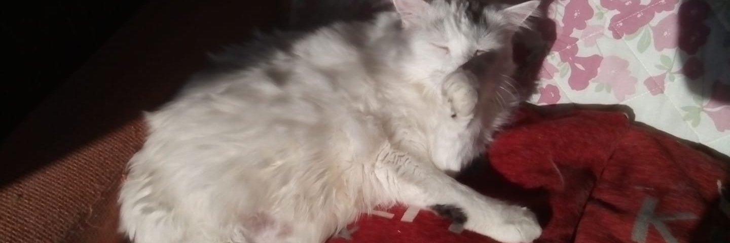 @HRHDuchessII banner