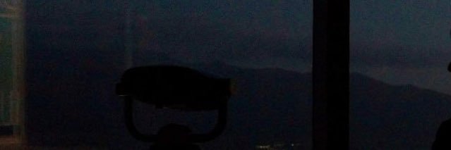 elsebitabianchi's profile banner image