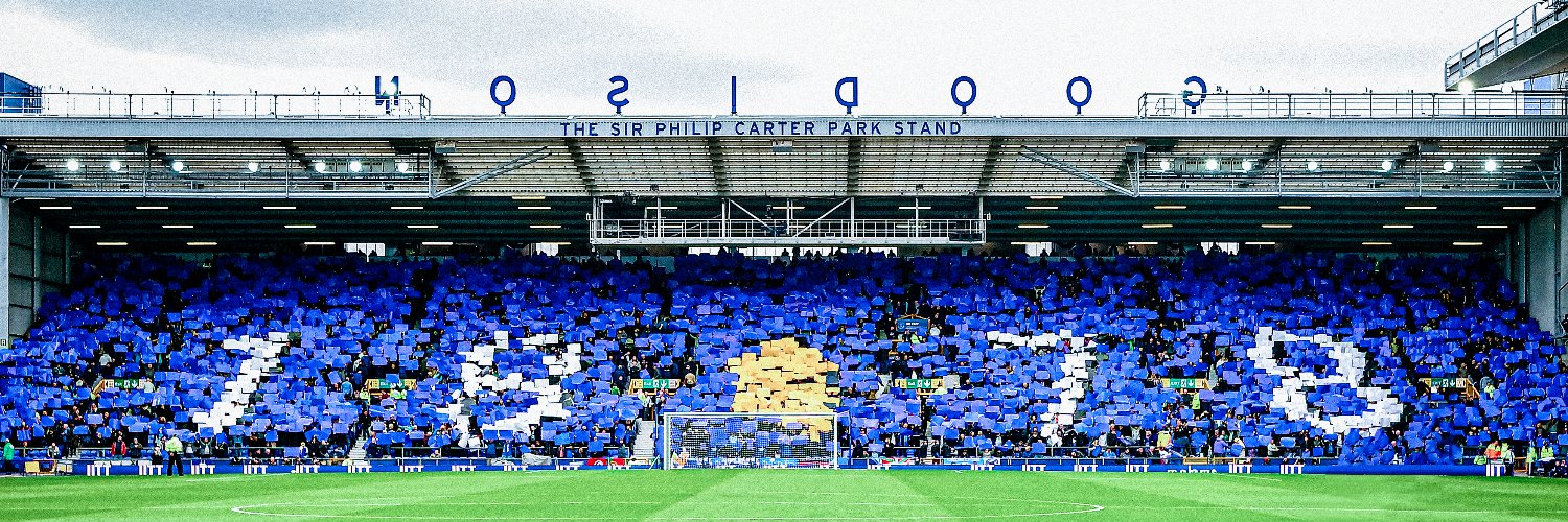 Everton Profile Banner