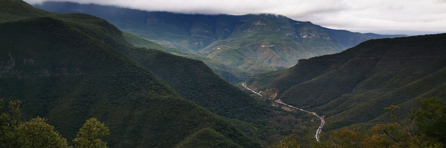 lochillito's profile banner image
