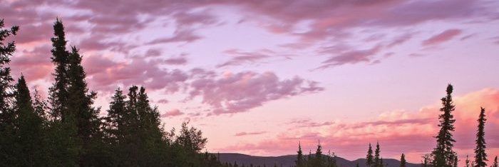 jrovve banner