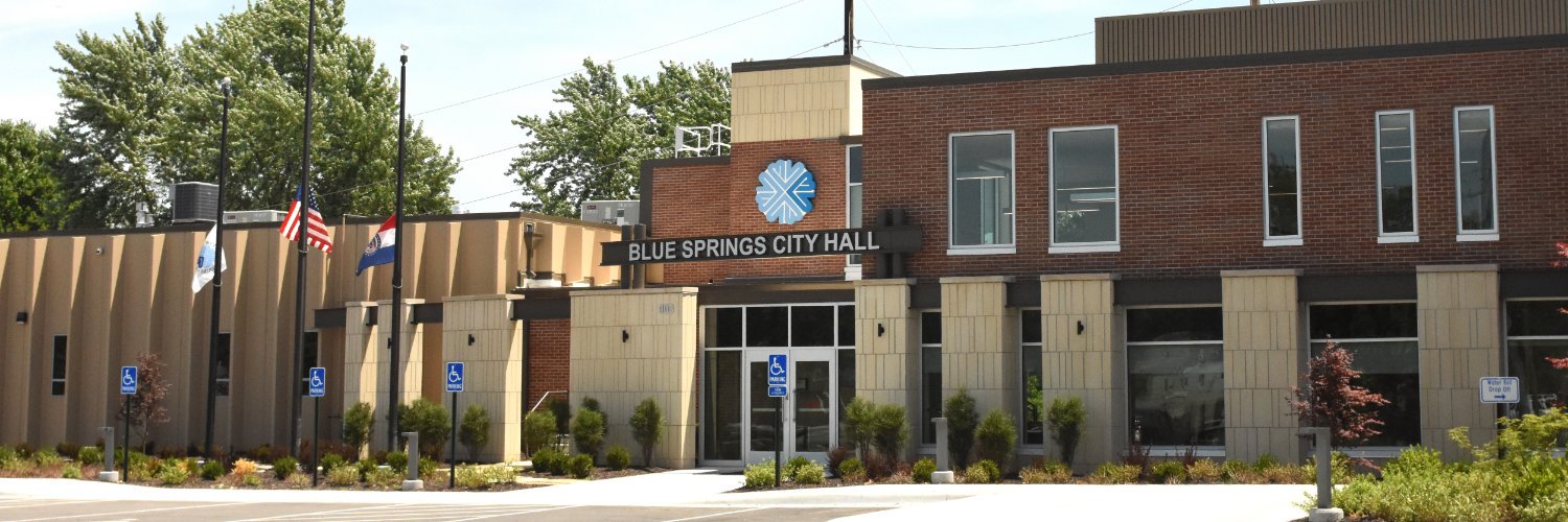 Blue Springs banner