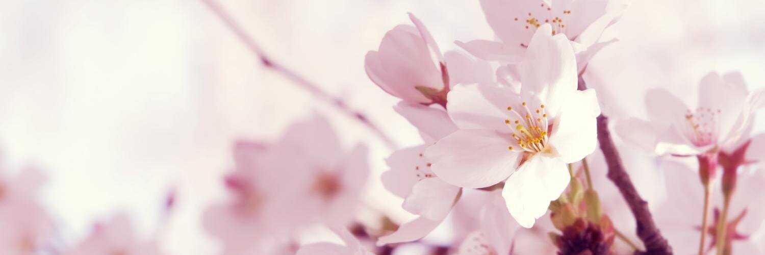 Creativity1126's profile banner image