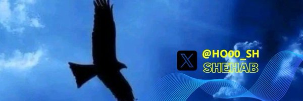 Ho00_sH Profile Banner
