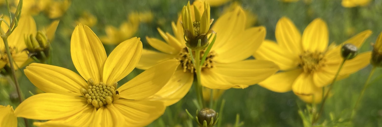 【公式】 🪥新潟市歯科医師会 広報情報部🥼 banner