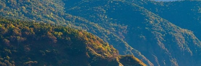 delattre aline banner