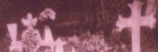 Avelyn banner