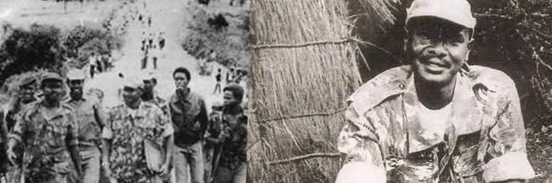 tinyefuza's profile banner image