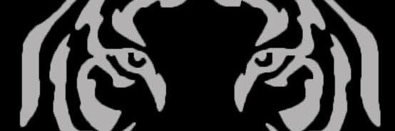 Ricky___cl's profile banner image