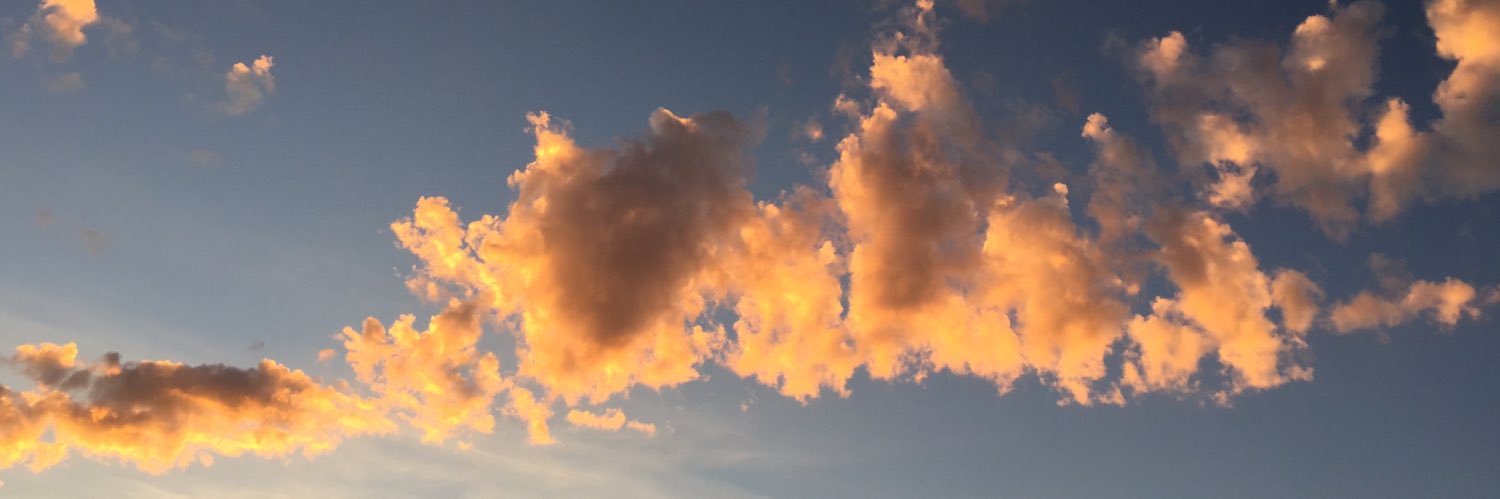 monibddy5's profile banner image