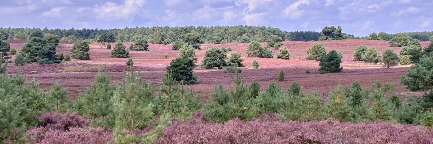 ChelaChristina's profile banner image