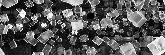 [r]alph [b]addour banner