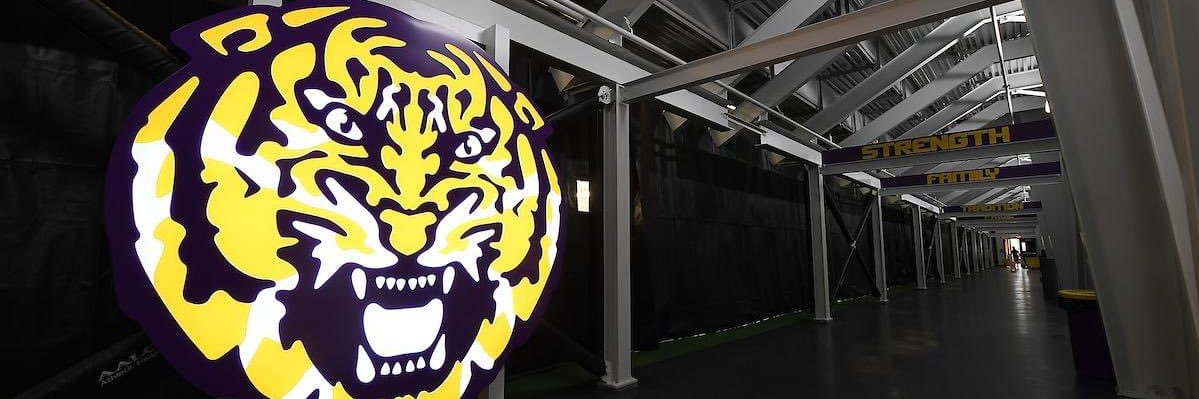 LSUwten's profile banner image