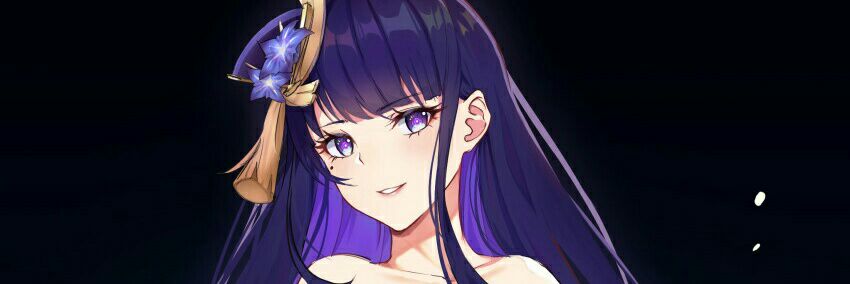 RaidenShogunA's profile banner image