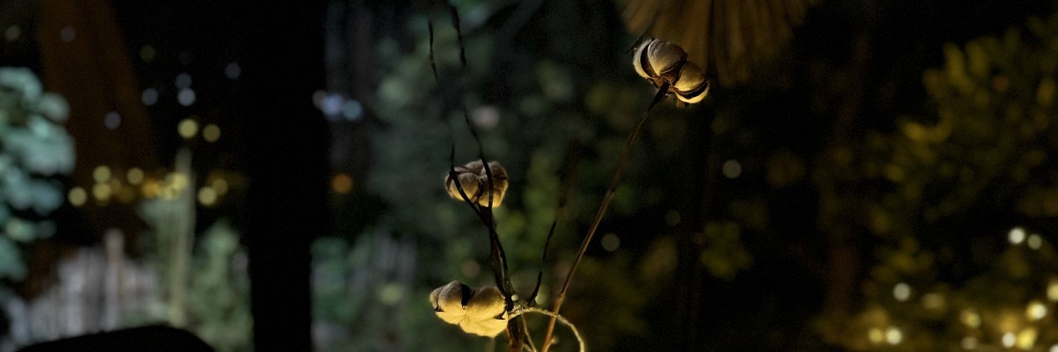 ToRedefineThe F banner