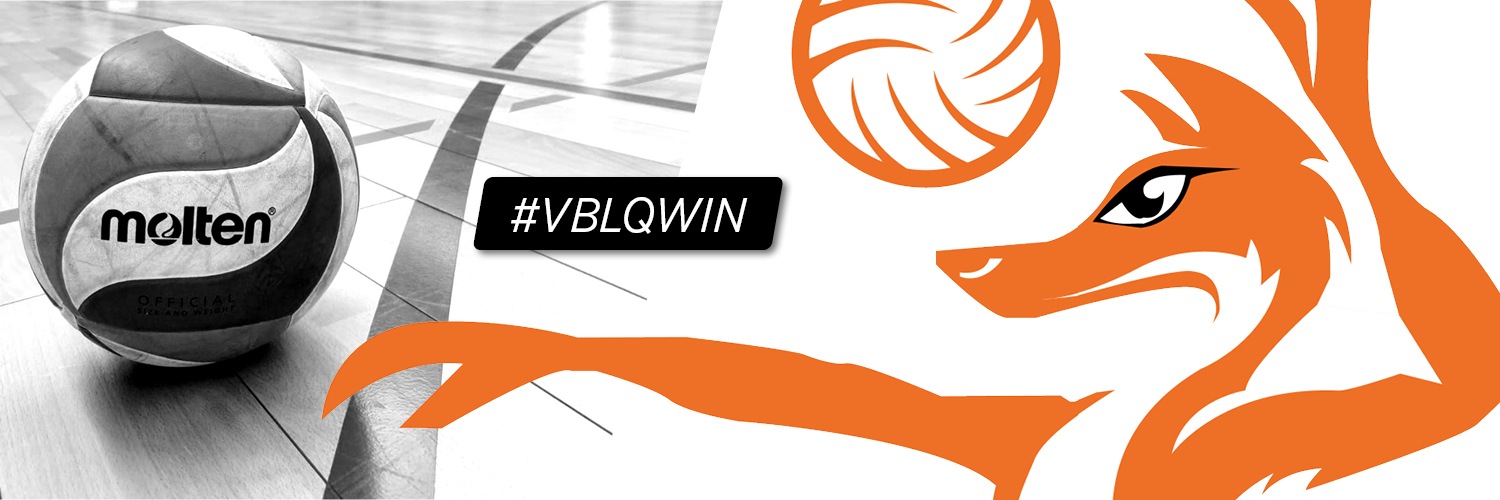 VB_LeQuesnoy's profile banner image