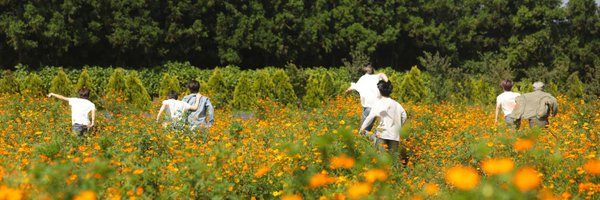 Thwinttvc Profile Banner