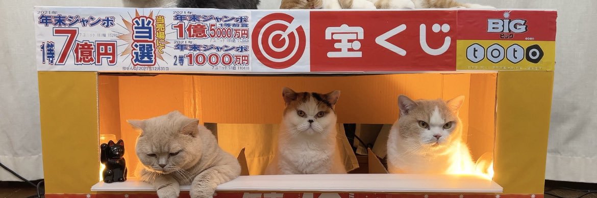 chanko_desuyo's profile banner image