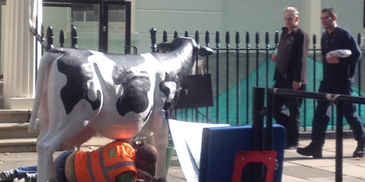 Anthony Adler 🟣 banner