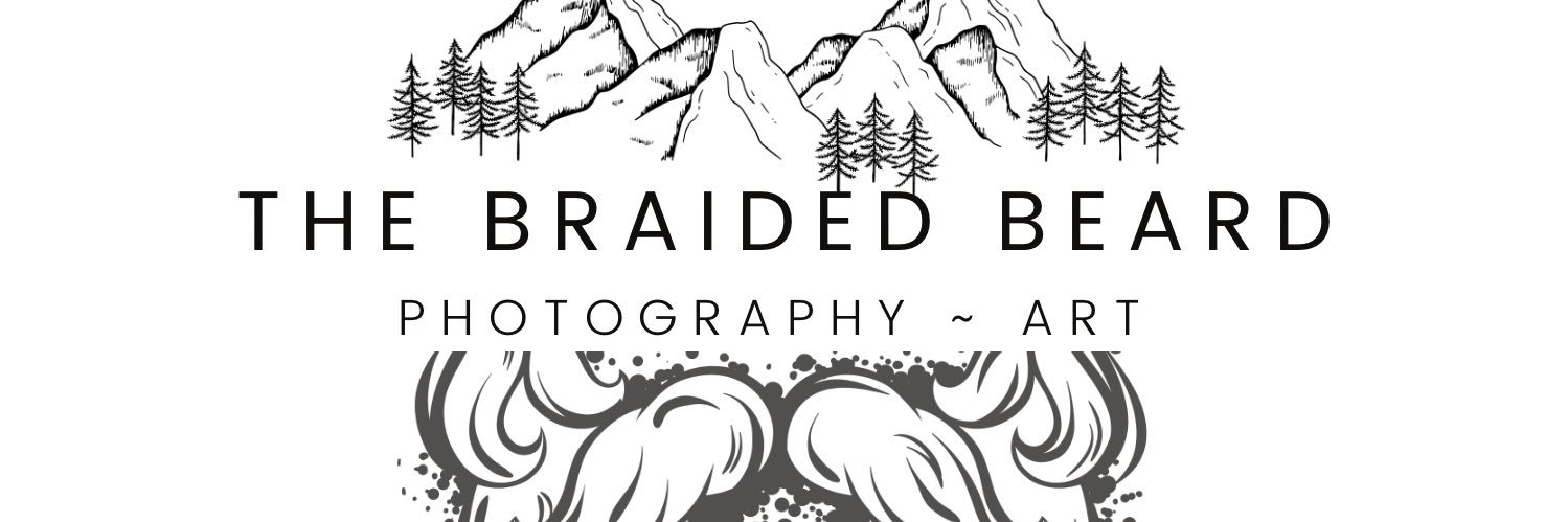 the_braided's profile banner image