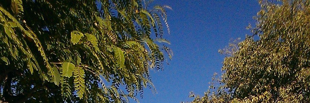 VictorRuchy's profile banner image
