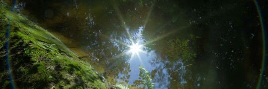 𝖘𝖊𝖗𝖆𝖕𝖍 banner