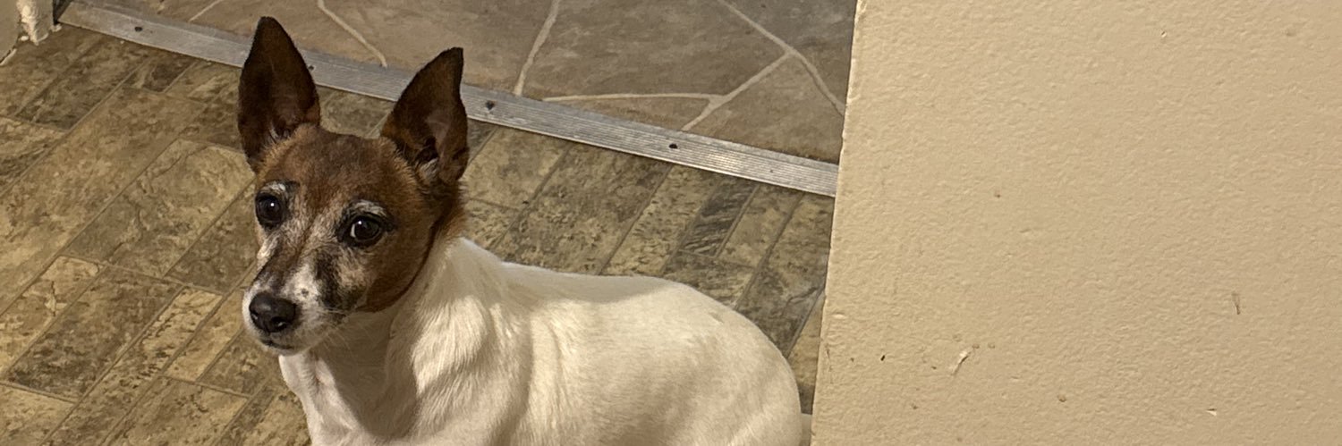 Robin Marie Burbank Lutz banner