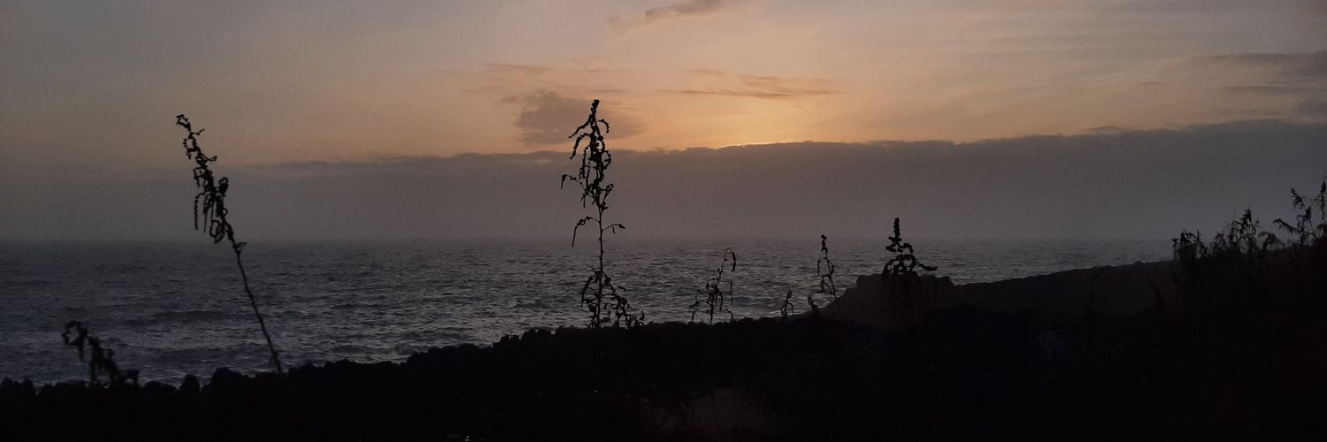 Cris_13_5's profile banner image
