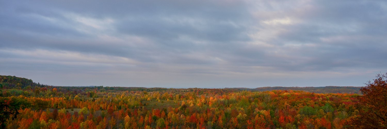 alluringstorms 🇨🇦's banner