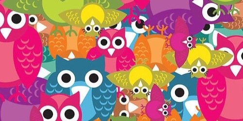 Fernanda banner