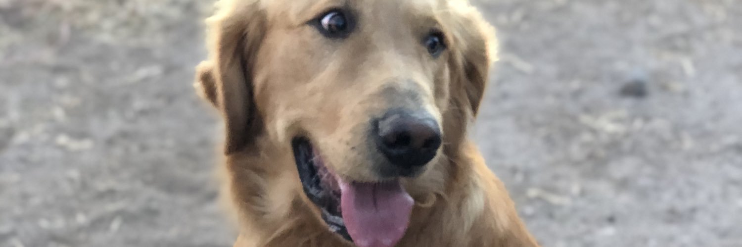 waynehubbb's profile banner image