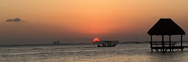 ronaldoduque Profile Banner