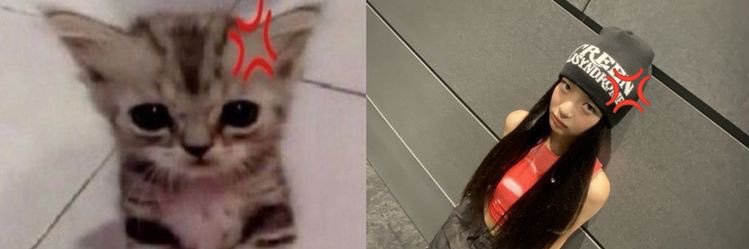 llencatz's profile banner image