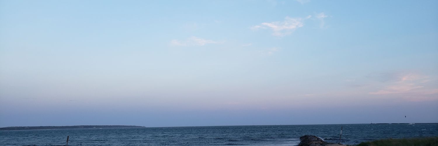 Elica Inagaki MD banner
