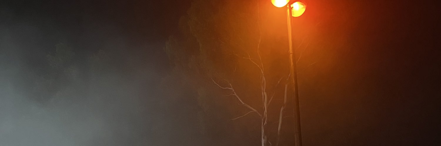 fabiolaabr_'s profile banner image