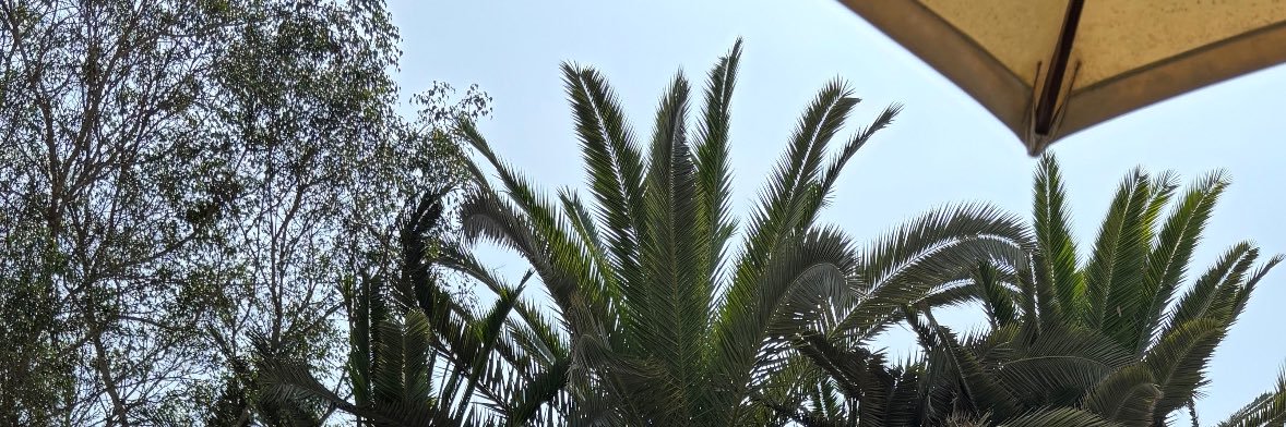 olen_ger's profile banner image