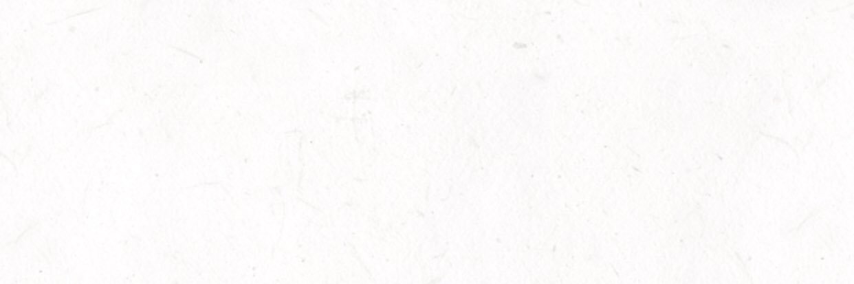 Nebi banner