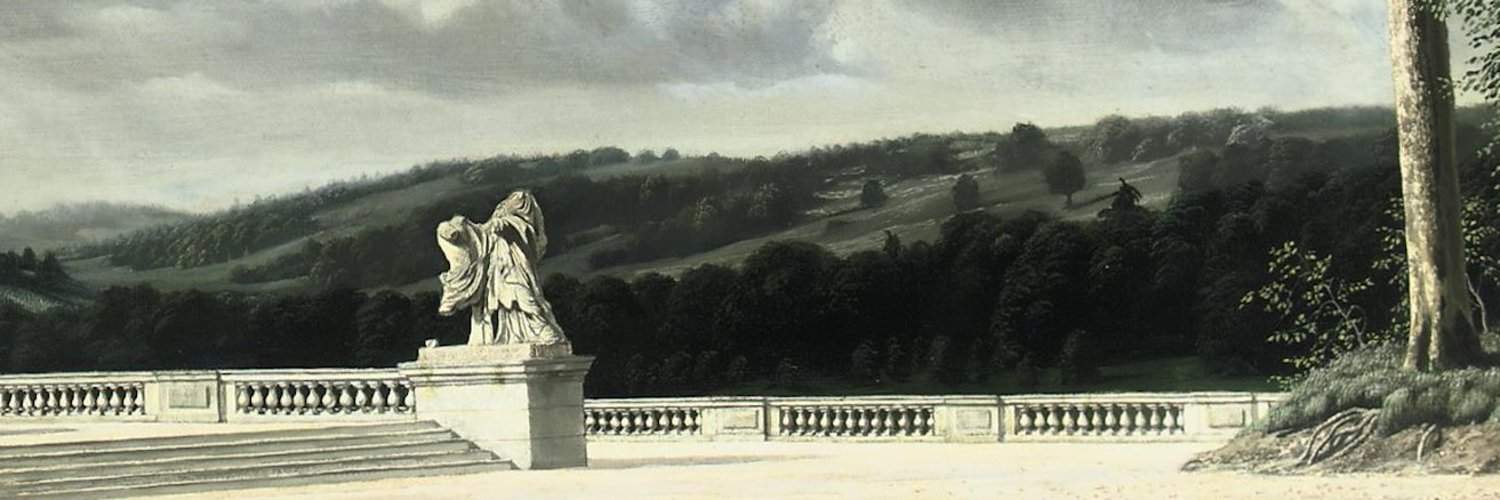 Maxaemand's banner