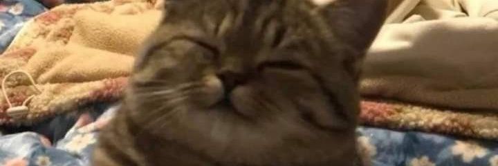 Itspenko's profile banner image