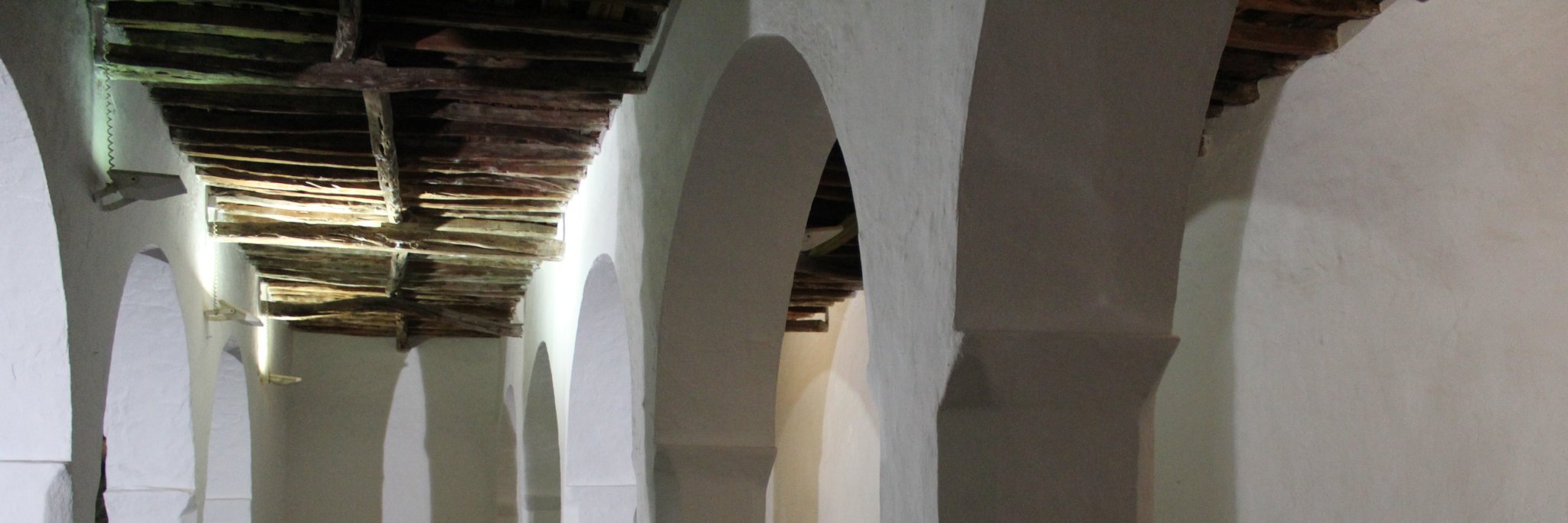 Rafael Almendra-Pegueros banner