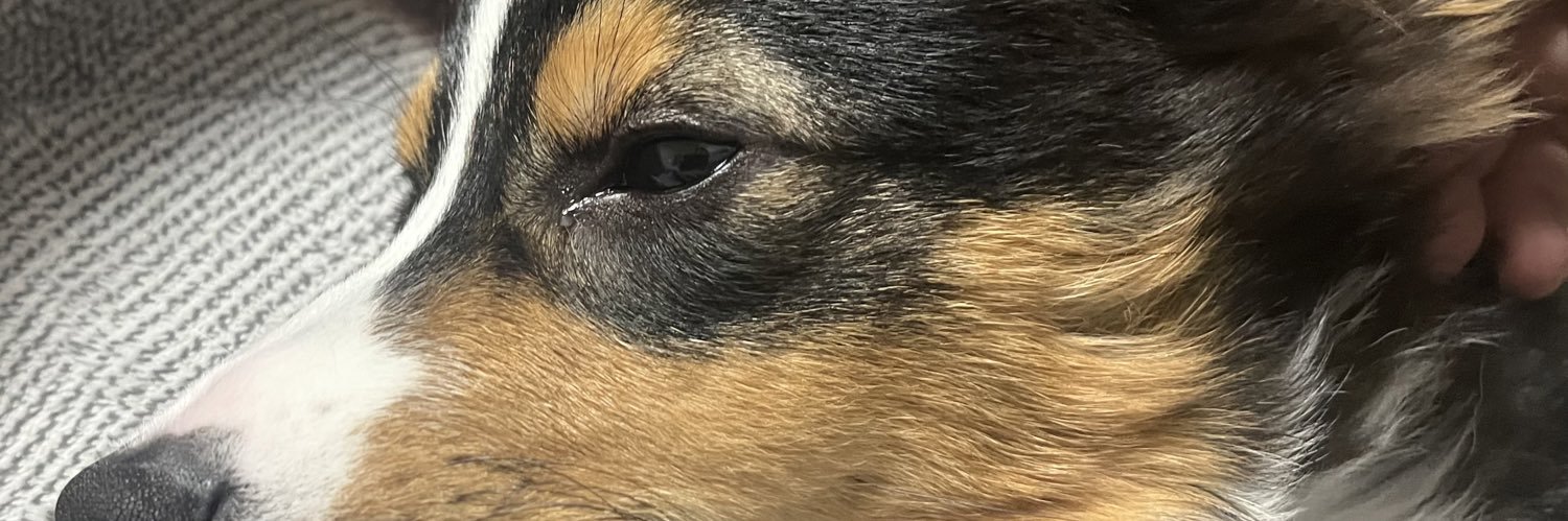 いんちょー@黒コギ　Inchoh or Leader banner