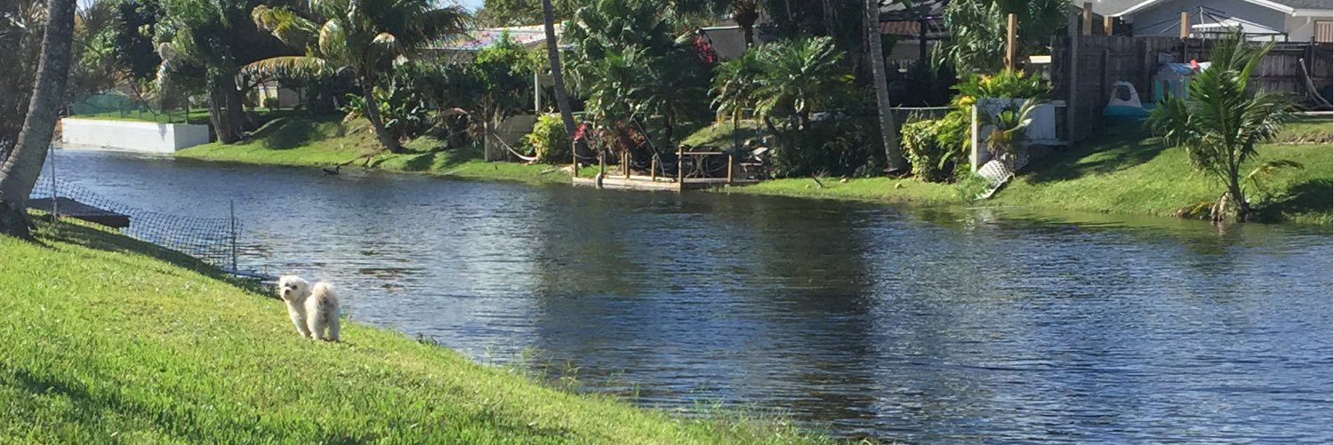 Gabriela Olivero banner