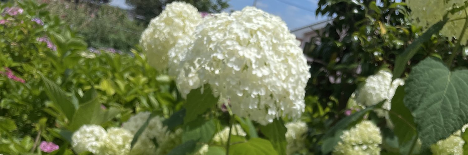 安藤桂子 (フリーアナウンサー） banner