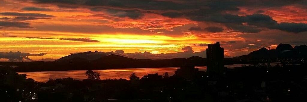 Crypto Blood🦊 banner