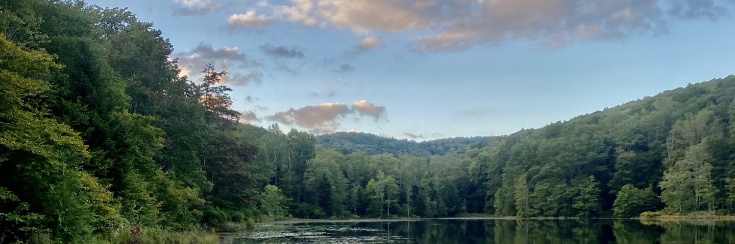 SirTylerBerg's profile banner image