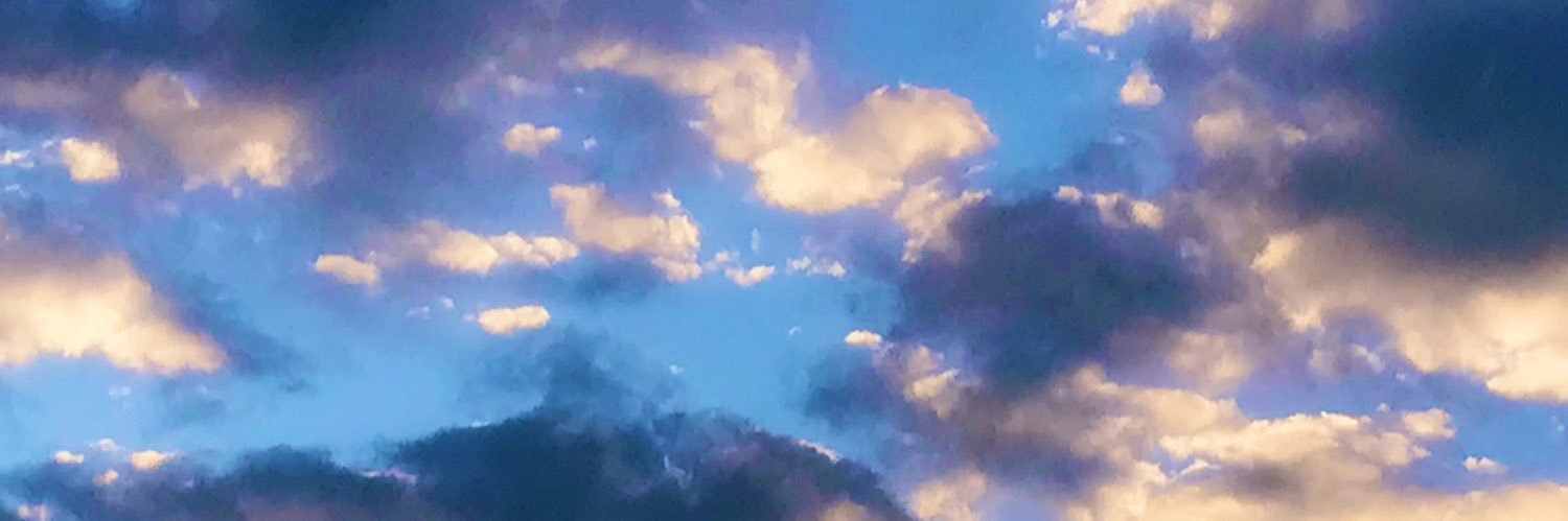 猫海ろん's banner
