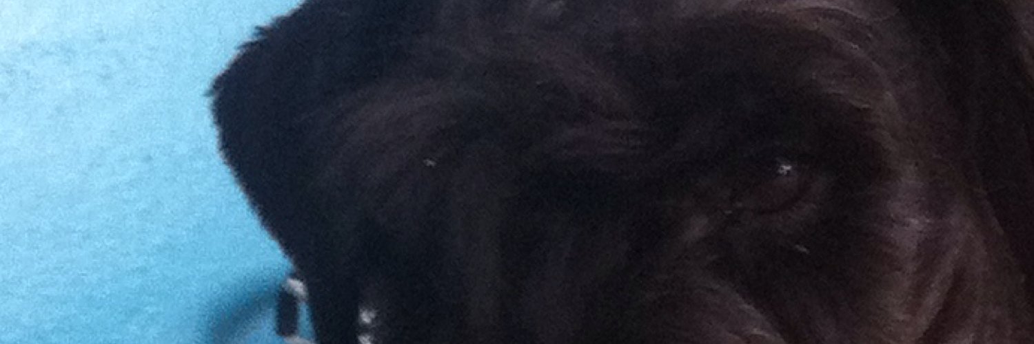 dailuza's profile banner image