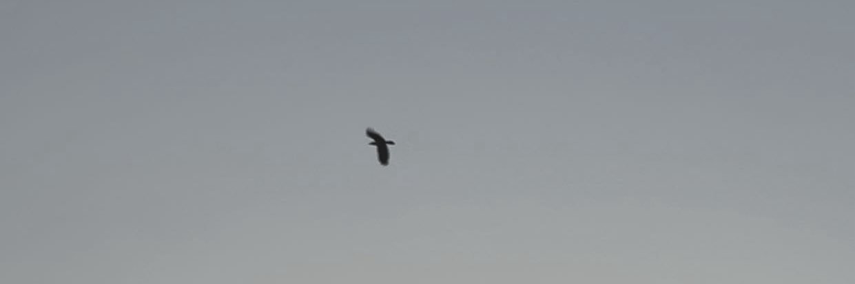 ‏ً banner