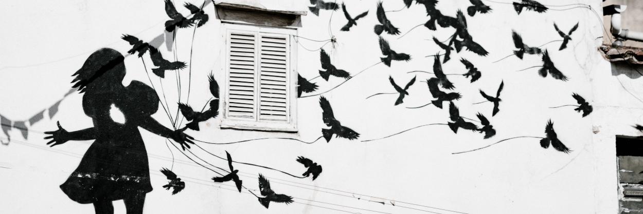 Human Security Collective banner